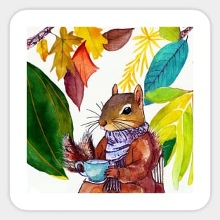 Squirrel drinking tea Sticker